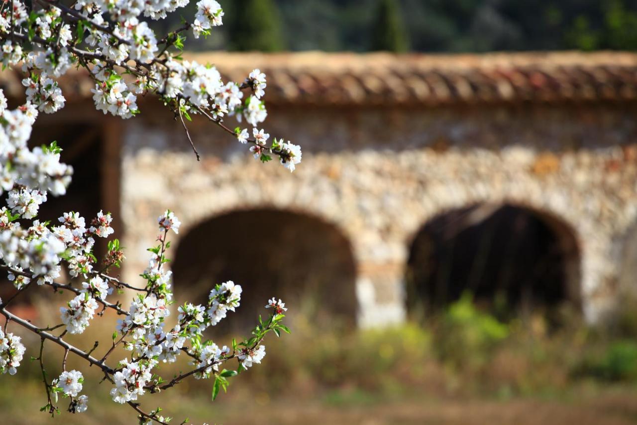 Benestar In Jalon Valley Alcalalí Εξωτερικό φωτογραφία