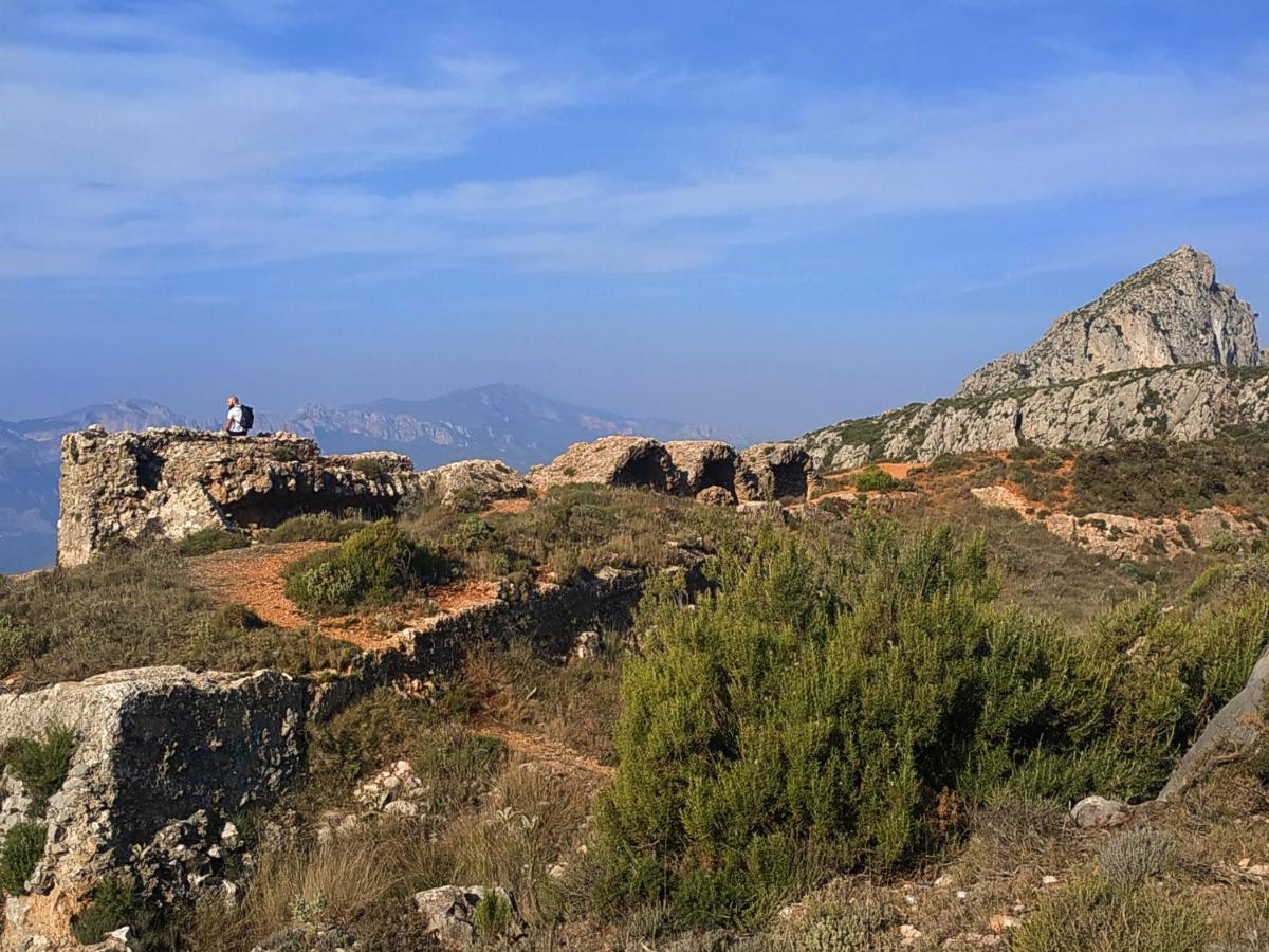 Benestar In Jalon Valley Alcalalí Εξωτερικό φωτογραφία